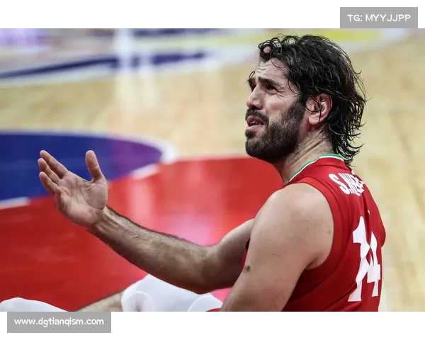 伊朗对西班牙完整赛事,伊朗0-1西班牙 伊朗对西班牙完整赛事,伊朗0-1西班牙